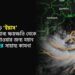 ঘূর্ণিঝড় ‘ইয়াস’ এর সম্ভাব্য ক্ষয়ক্ষতি থেকে রক্ষা পাওয়ার জন্য মহান আল্লাহর সাহায্য কামনা