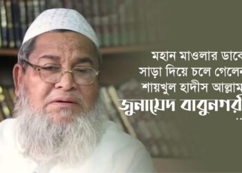 মহান মাওলার ডাকে সাড়া দিয়ে চলে গেলেন শায়খুল হাদীস আল্লামা জুনায়েদ বাবুনগরী…