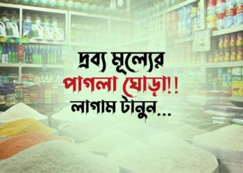দ্রব্য মূল্যের পাগলা ঘোড়া!! লাগাম টানুন…