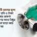 জ্বালানী তেলের মূল্য লিটার প্রতি ৫ টাকা কমানোর ঘোষণা জনগণের সাথে নিষ্ঠুর রসিকতা ছাড়া আর কিছুই নয়