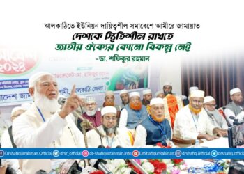 দেশকে স্থিতিশীল রাখতে জাতীয় ঐক্যের কোনো বিকল্প নেই