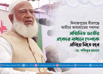 সম্মিলিত জাতীয় ঐক্যের মাধ্যমে দেশকে এগিয়ে নিতে হবে